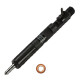 Einspritzdüse Injektor Delphi EMBR00101D für Citroën Fiat Ford Peugeot 2.0 R00101D