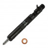 Injektor Delphi EMBR00101D 1980.L3 9M5Q9F593BA R00101D Einspritzdüse Fiat 2.0 D MJ Citroen Peugeot 2.0 HDi Ford 2.0 TDCi