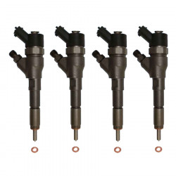 4x Einspritzdüse Injektor Bosch 0445110076 0445110062 Citroen Peugeot 2.0 HDi Fiat