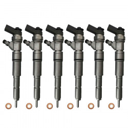 6x Einspritzdüse Injektor 0445110131 0445110080 für BMW 3er 5er 7er X5