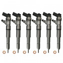 6x Einspritzdüse Injektor 0445110131 0445110080 für BMW 3er 5er 7er X5