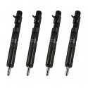 4 x Einspritzdüse Injektor Delphi EJBR01701Z EJBR04101D EJBR02101Z Renault 1.5 dCi