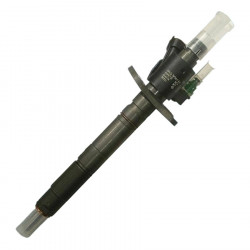 Einspritzdüse Injektor Bosch 0445116013 0445116012 für Jaguar XF 3.0 D Range Rover 3.0 TD 4x4 Citroen 3.0 HDi