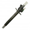 Einspritzdüse Injektor Bosch 0445116013 0445116012 für Jaguar XF 3.0 D Range Rover 3.0 TD 4x4 Citroen 3.0 HDi